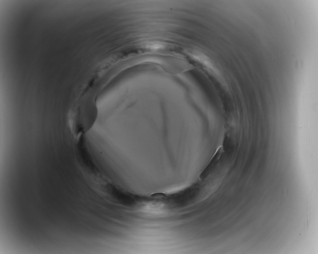 X0000088140500200706042012