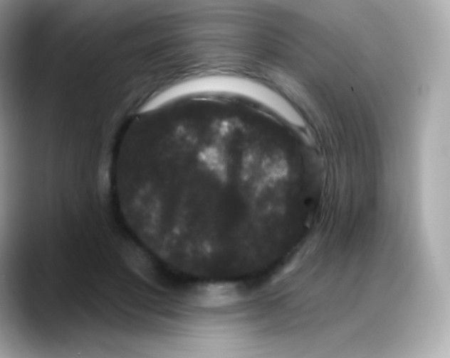 X0000088140501200706042012