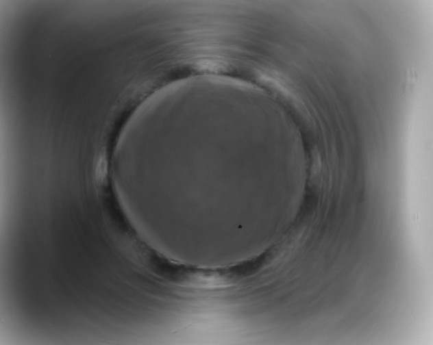 X0000088140502200706042012