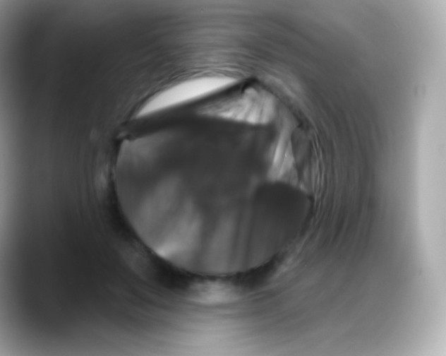 X0000088140503200706042012