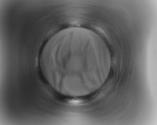 X0000088140504200706042012