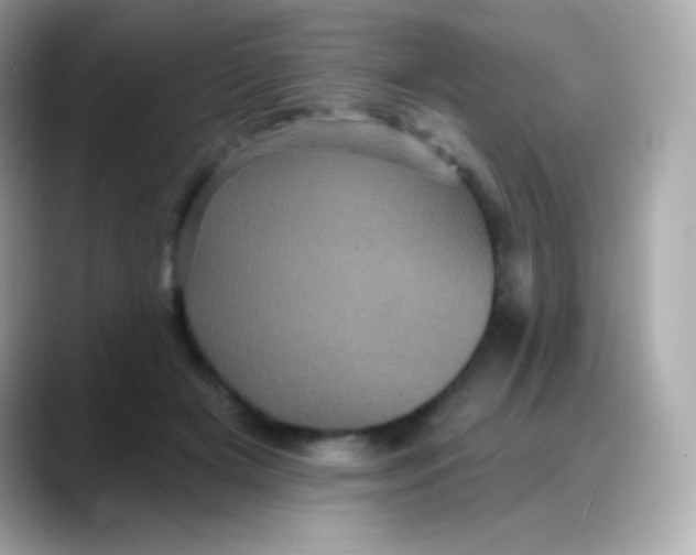 X0000088140505200706042012