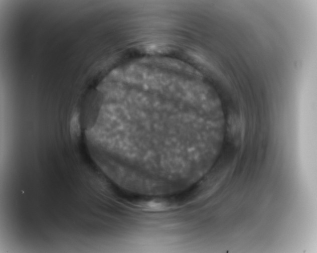 X0000088140506200706042012