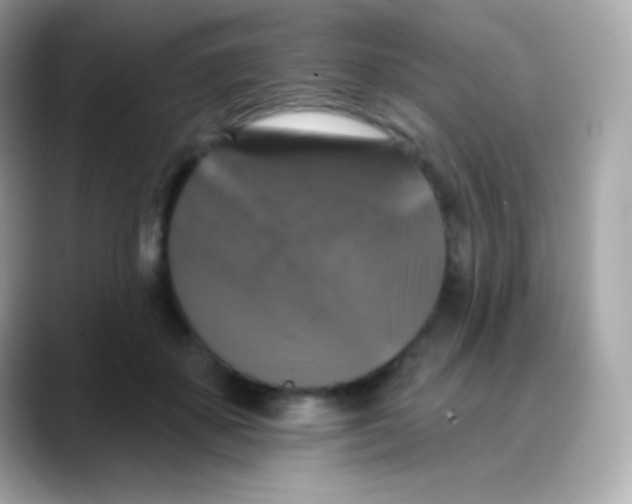 X0000088140507200706042012