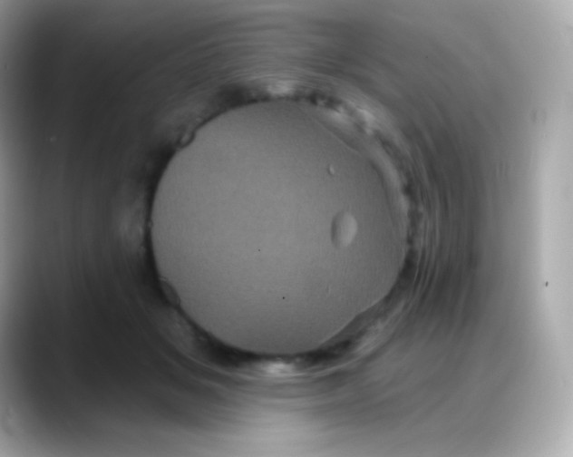 X0000088140509200706042012