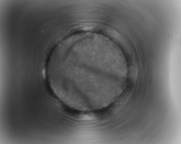 X0000088140510200706042012