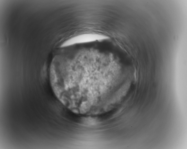 X0000088140511200706042012