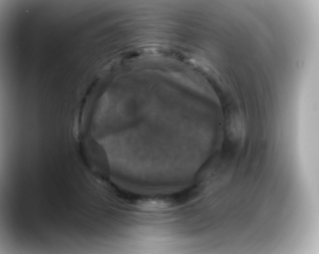 X0000088140512200706042011