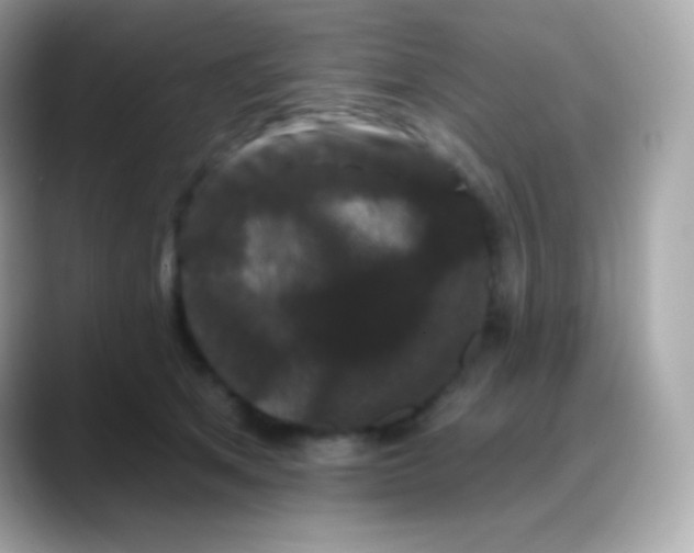 X0000088140513200706042011