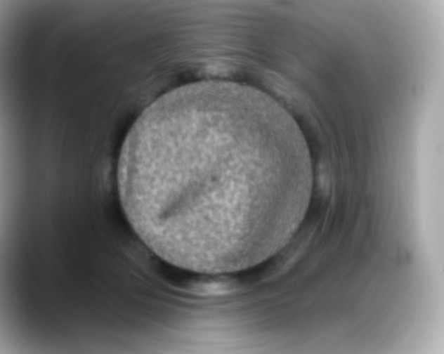 X0000088140514200706042011