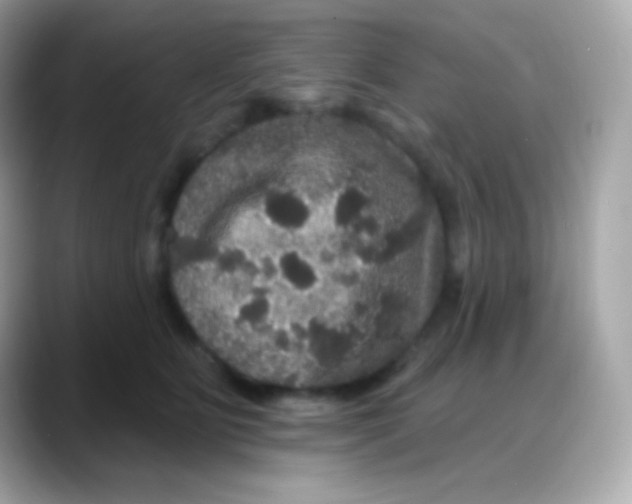 X0000088140515200706042011