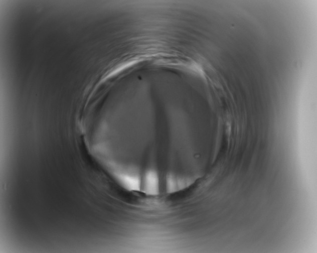 X0000088140516200706042011