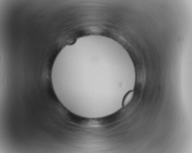 X0000088140518200706042011