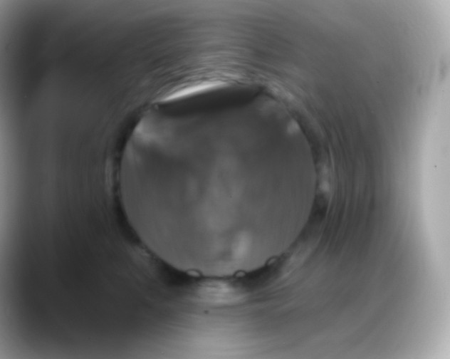 X0000088140519200706042011