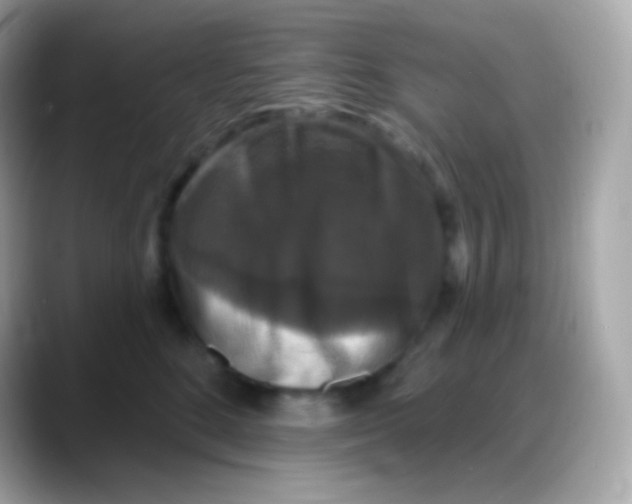 X0000088140520200706042011