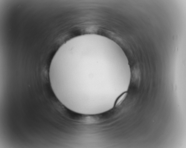 X0000088140522200706042011