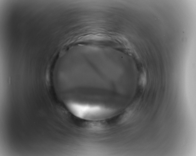 X0000088140524200706042011