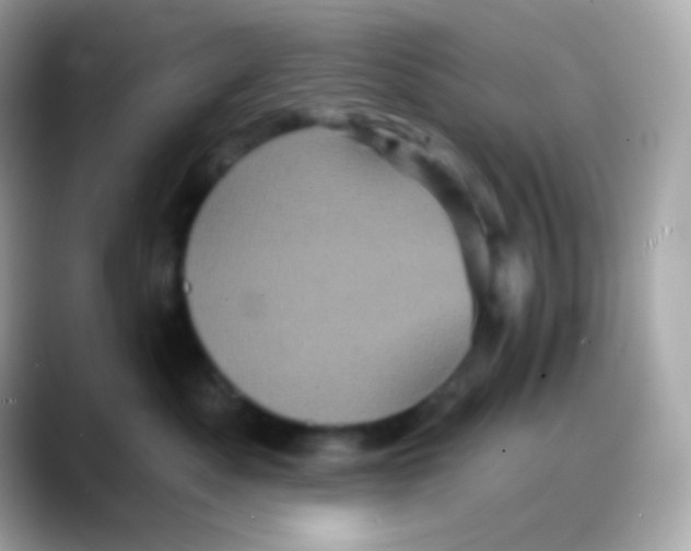 X0000088140525200706042011