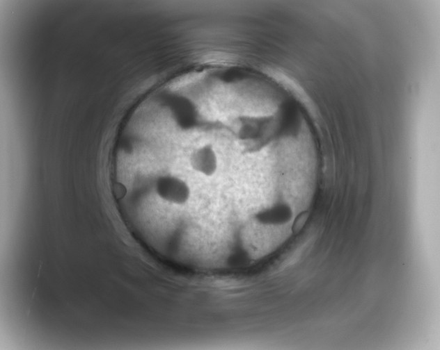 X0000088140529200706042011