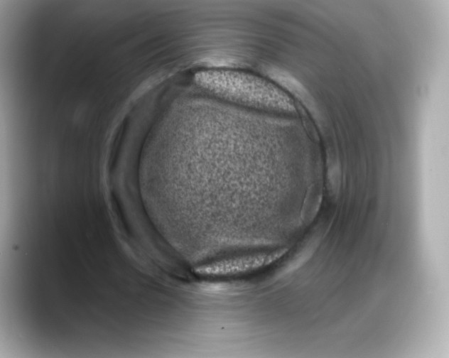 X0000088140530200706042011