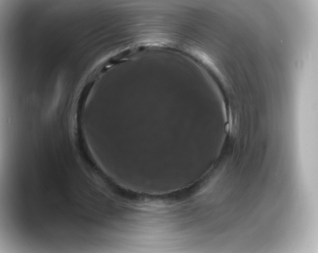 X0000088140531200706042011