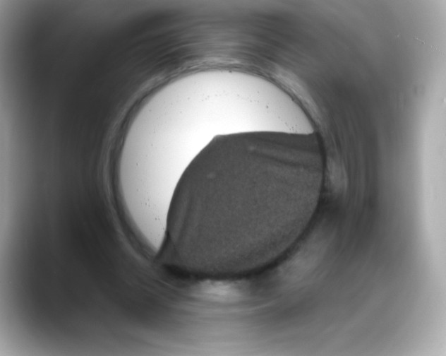 X0000088140534200706042011