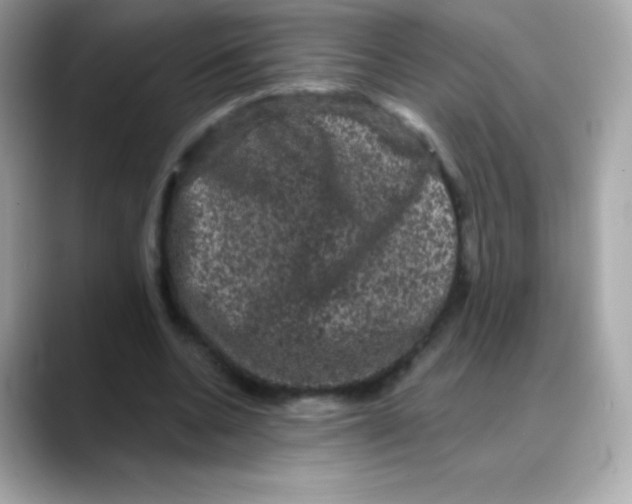 X0000088140536200706042011