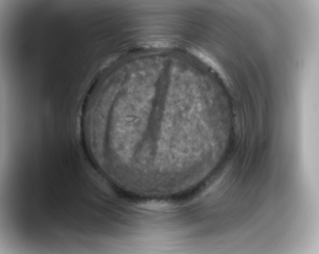 X0000088140537200706042011