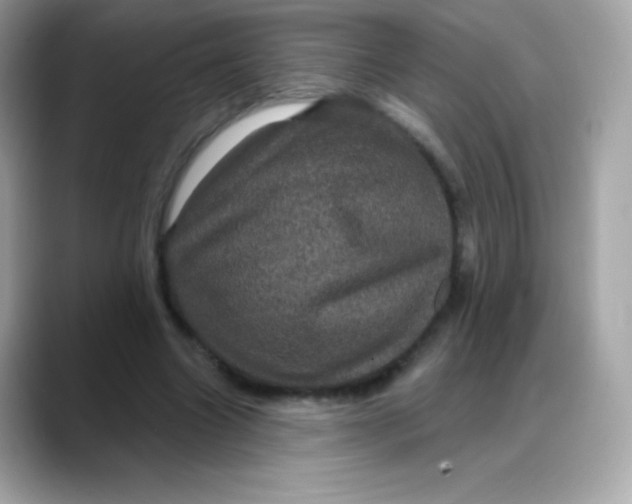 X0000088140538200706042011