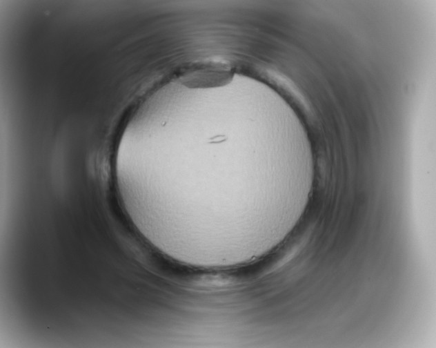 X0000088140541200706042011