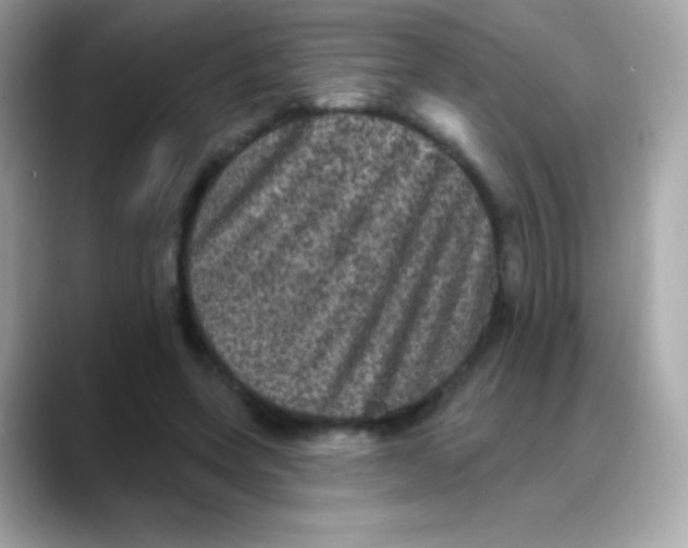 X0000088140543200706042011