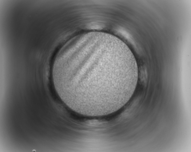 X0000088140544200706042011