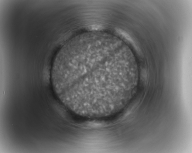 X0000088140545200706042011