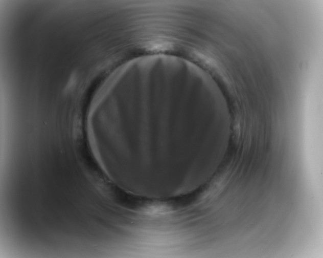 X0000088140547200706042011