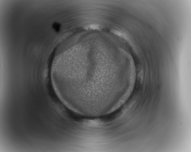 X0000088140548200706042011