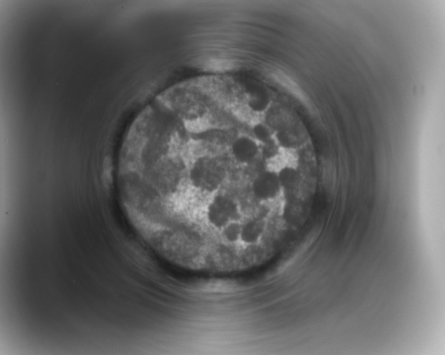 X0000088140549200706042011