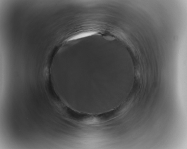 X0000088140551200706042011