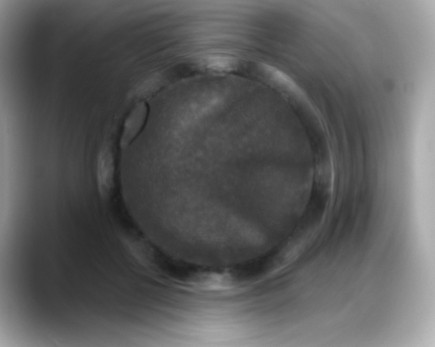 X0000088140552200706042011