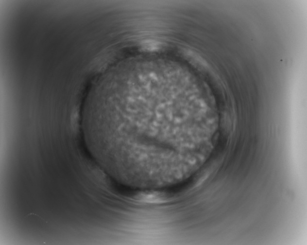 X0000088140557200706042011