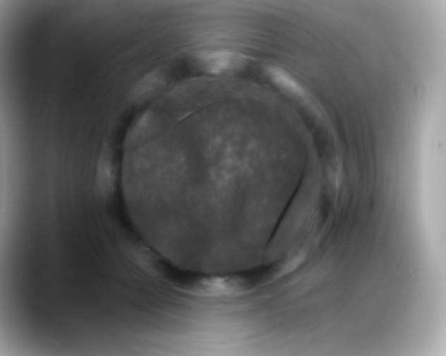 X0000088140558200706042011