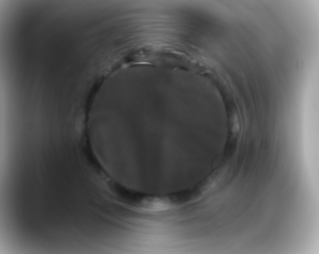 X0000088140559200706042011