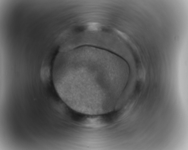 X0000088140560200706042011