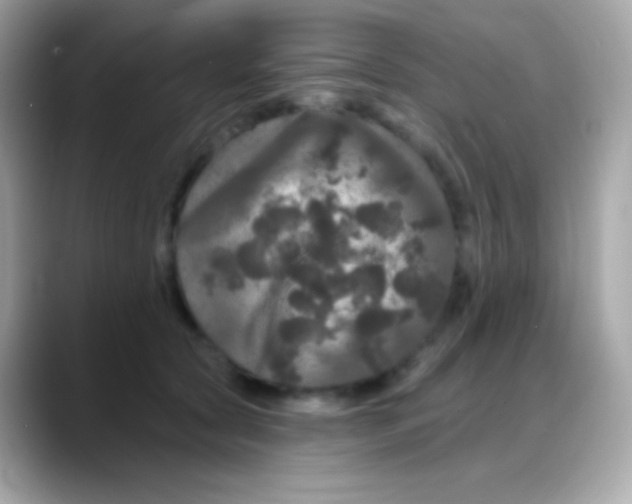 X0000088140561200706042011