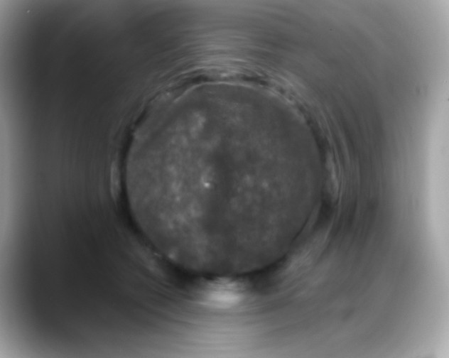 X0000088140562200706042011