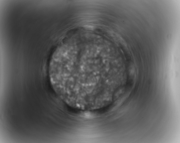 X0000088140565200706042011