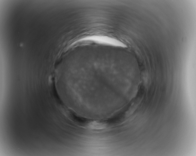 X0000088140568200706042011