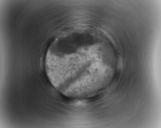 X0000088140569200706042011