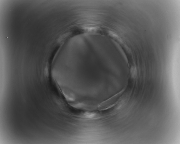 X0000088140570200706042011