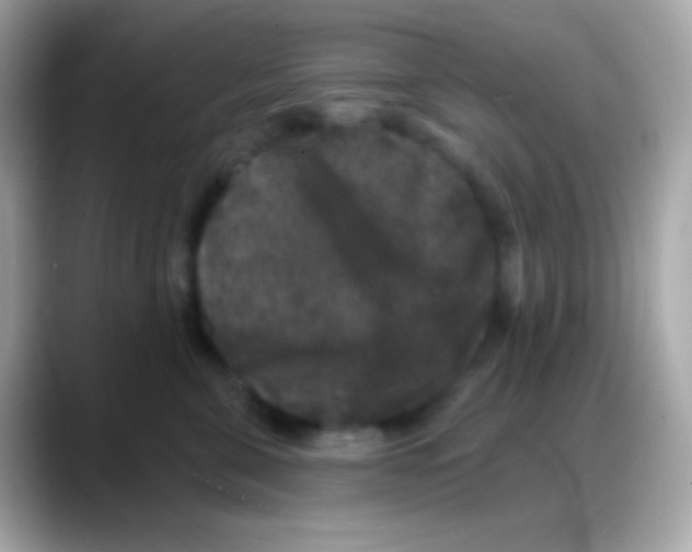 X0000088140571200706042011