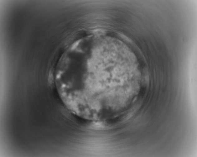 X0000088140573200706042011